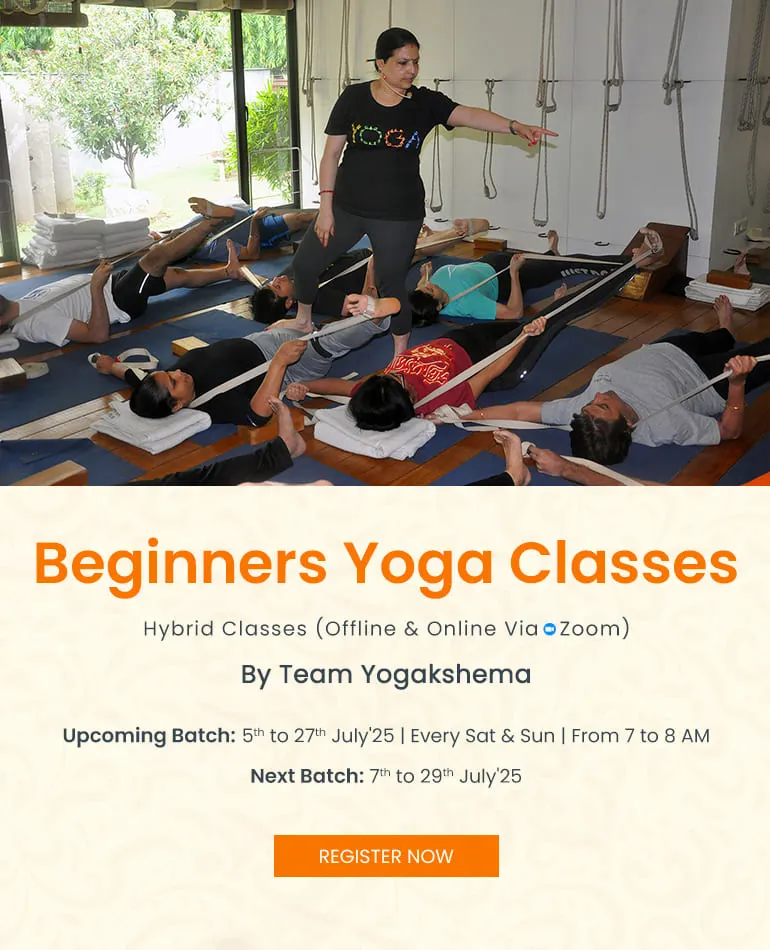 Join Our Beginner Yoga Classes
