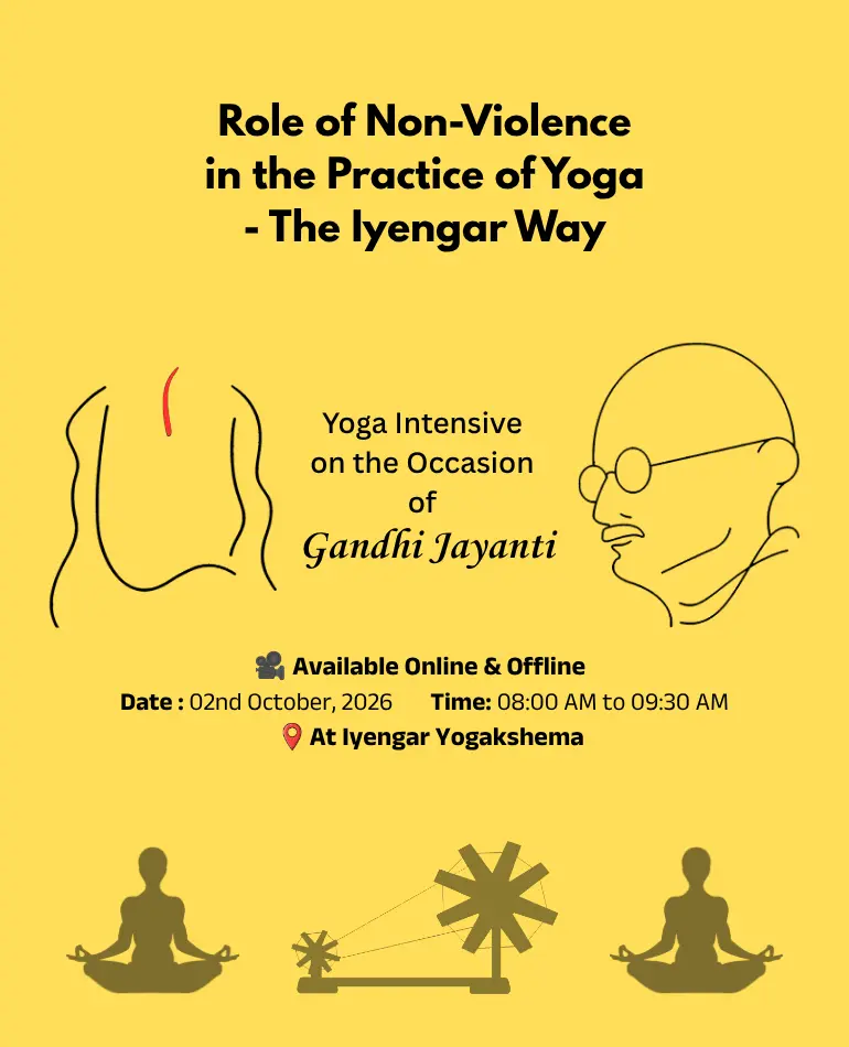 Join Our Beginner Yoga Classes