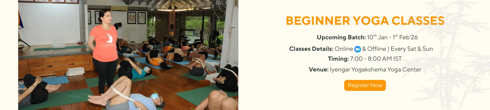 Beginners Yoga Classes