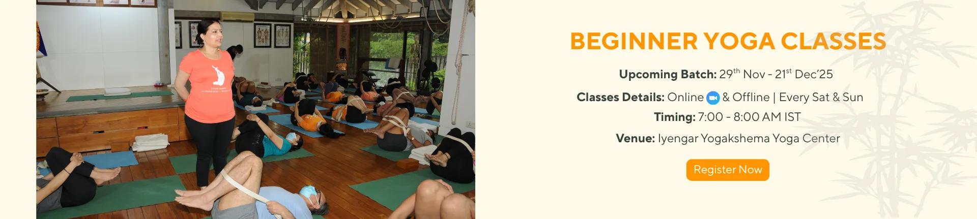 Beginners Yoga Classes