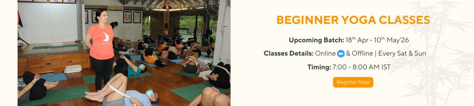 Beginners Yoga Classes