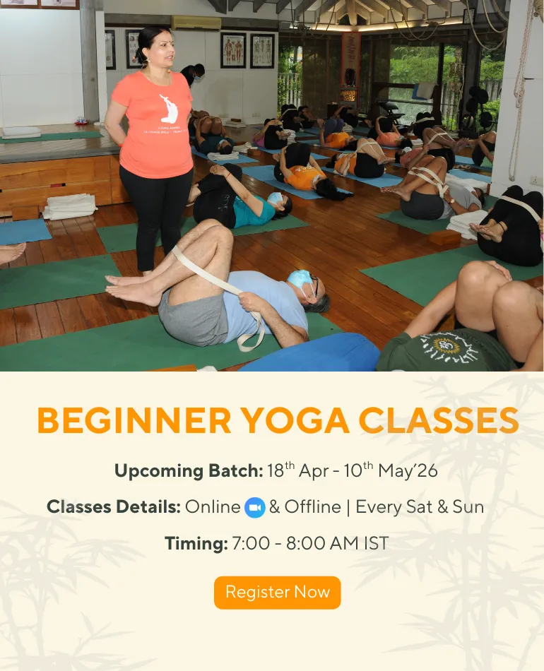 Join Our Beginner Yoga Classes