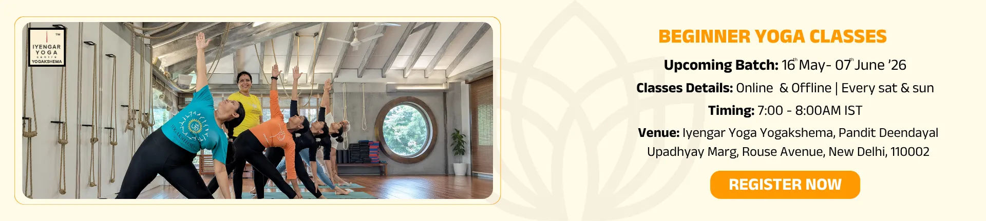 Beginners Yoga Classes